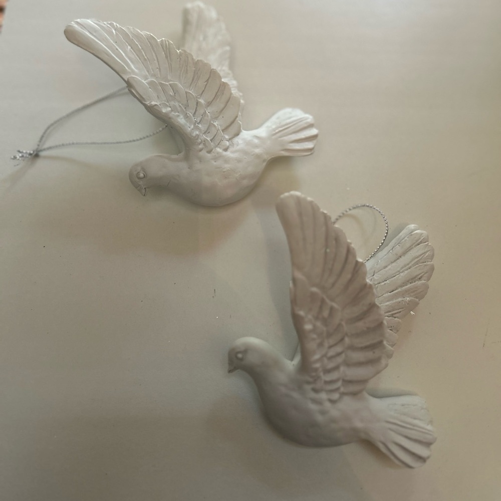 Charming White turtle doves